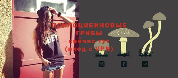 дурь Алексеевка