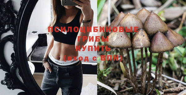 бутират Алзамай