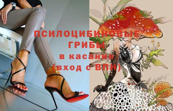 экстази Алексин