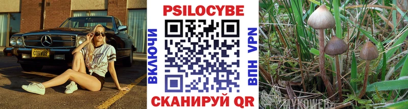 ОМГ ОМГ как зайти  Казань  Галлюциногенные грибы ЛСД 